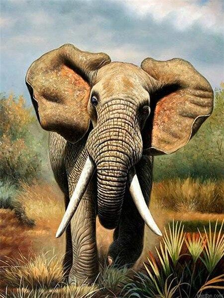 Running Elephant Paint By Numbers.png