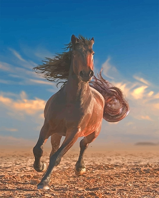 Running Horse New Paint By Numbers.png
