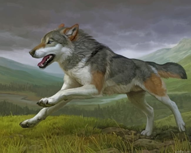 Running Wolf New Paint By Numbers.png