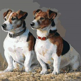 Russell Terrier Paint By Numbers.png