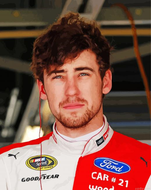 Ryan Michael Blaney Paint By Numbers.png