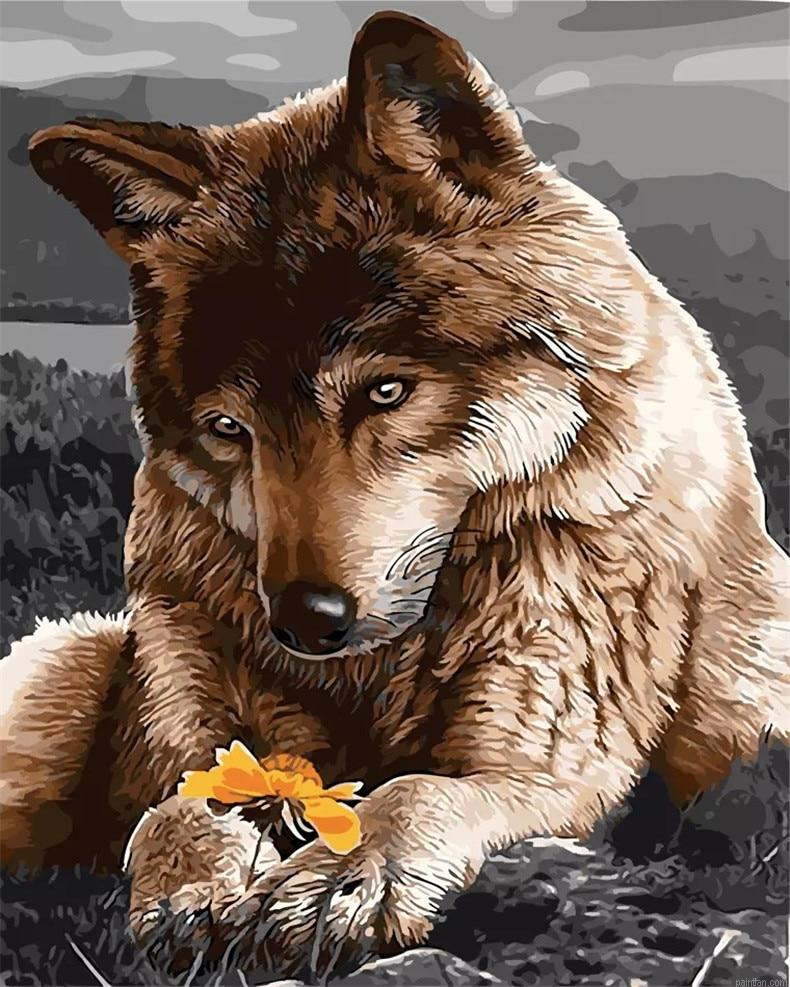 Sad Wolf Paint By Numbers.png