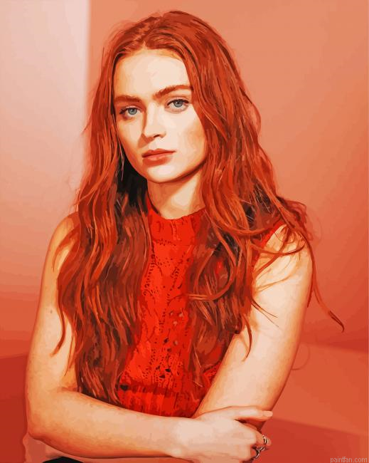 Sadie Elizabeth Sink Paint By Numbers.png