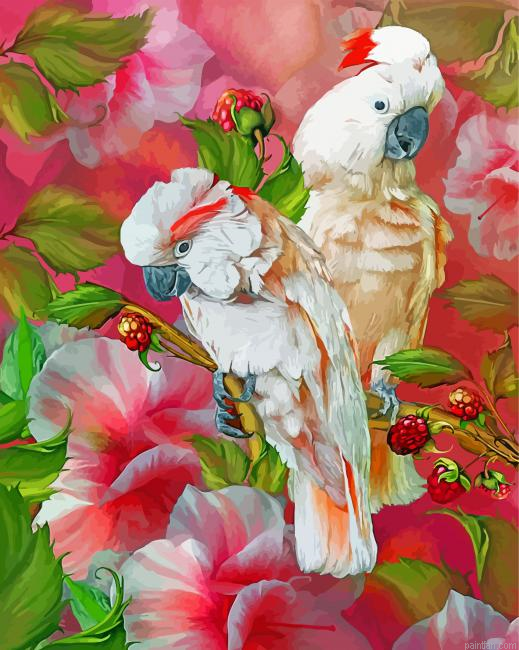 Salmon Crested Cockatoo Birds Paint By Number.png