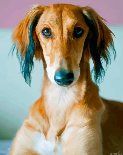 Saluki Dog Face Paint By Numbers.png