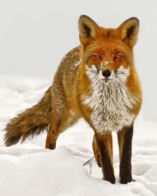 Sandfox Animal In Snow Paint By Numbers.png