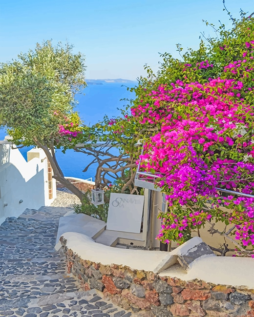 Santorini Greece Pink Flowers New Paint By Numbers.png