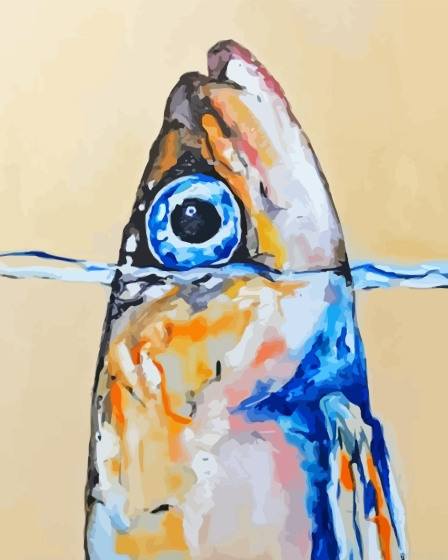 Sardine Fish Paint By Numbers.png