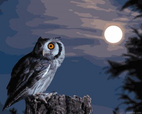 Scary Owl Paint By Numbers.png