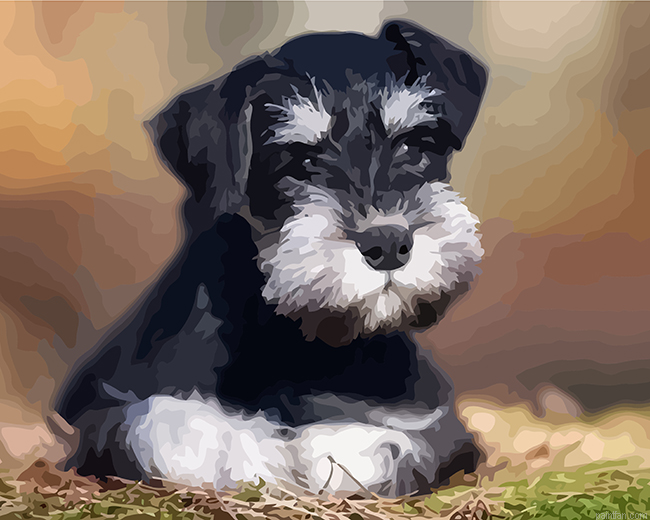 Schnauzer Pet Paint By Number.png