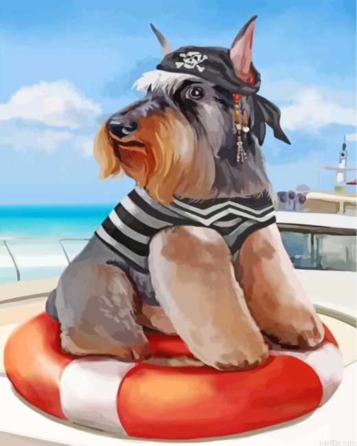 Schnauzer Pirate Paint By Number.png