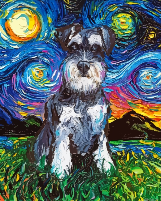 Schnauzer Starry Night Paint By Numbers.png
