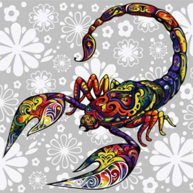 Scorpion Paint By Numbers.png
