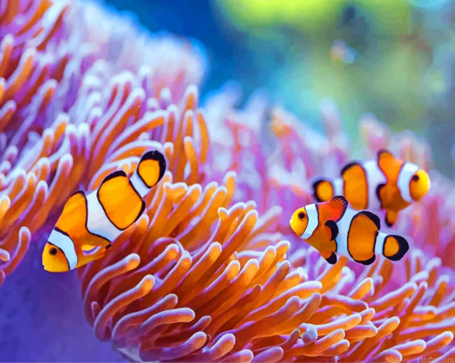 Sea Anemones Paint By Number.png
