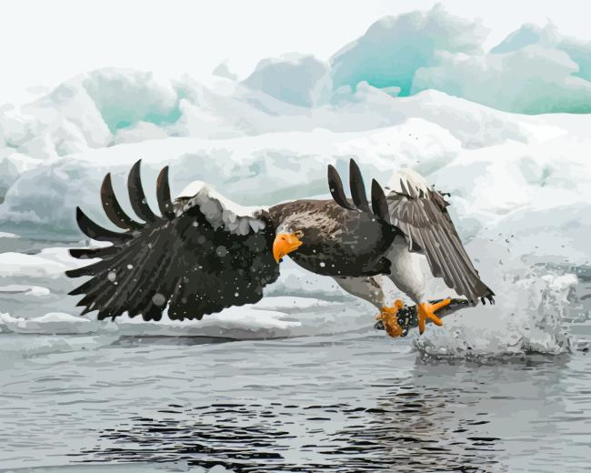Sea Eagle Paint By Numbers.png