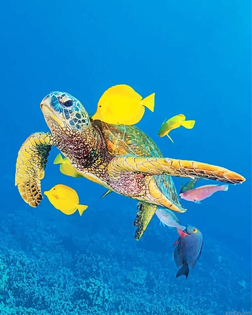 Sea Turtle And Fishes New Paint By Numbers.png