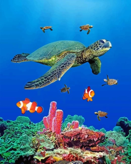 Sea Turtles Paint By Number.png