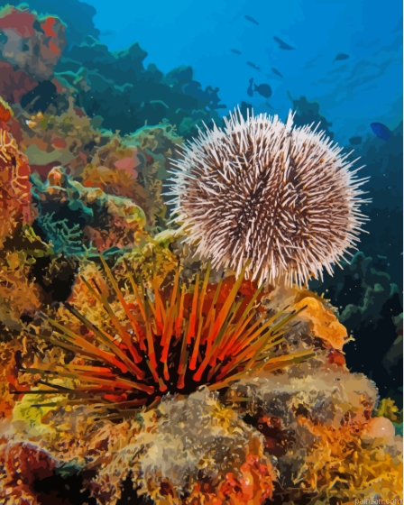 Sea Urchin Underwater Paint By Numbers.png