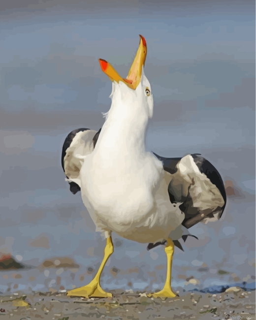 Seagull Paint By Numbers.png