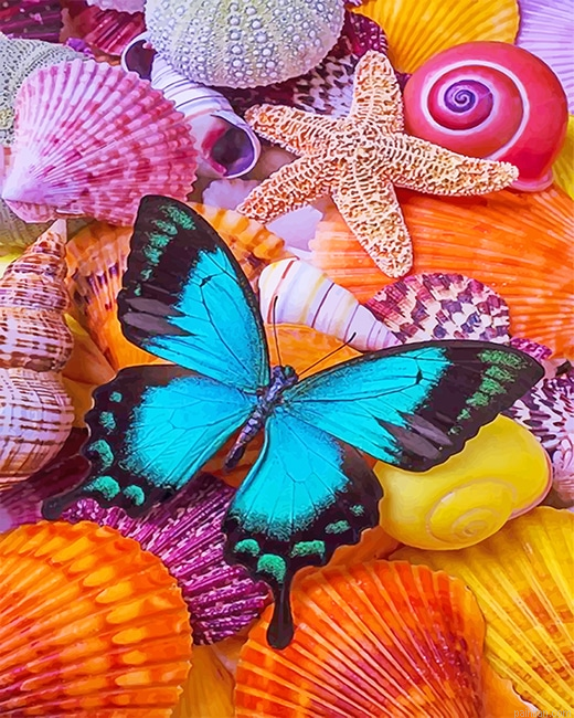 Seashells Blue Butterfly New Paint By Numbers.png