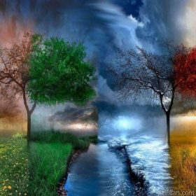 Seasons Tree Paint By Numbers.png