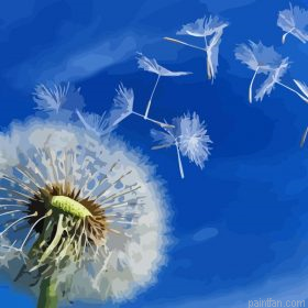 Seed Dispersal By Wind Paint By Numbers.png