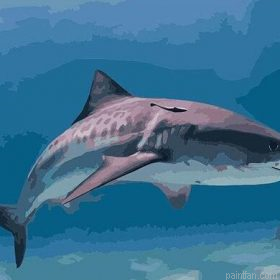 Shark Animal Paint By Numbers.png