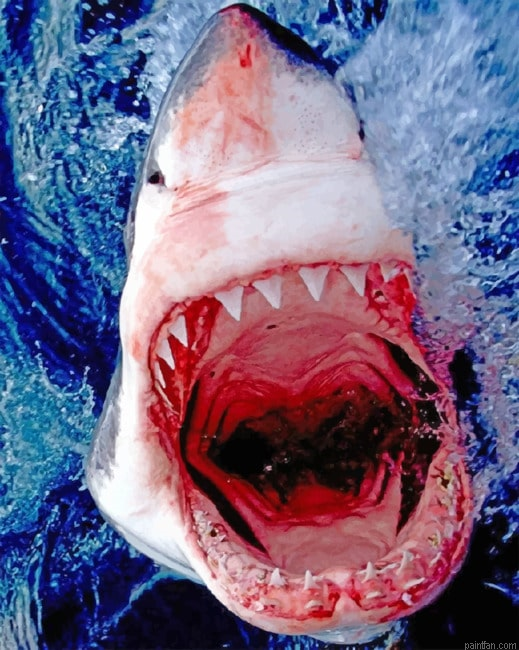Shark Attacking Seascapes Paint By Numbers.png