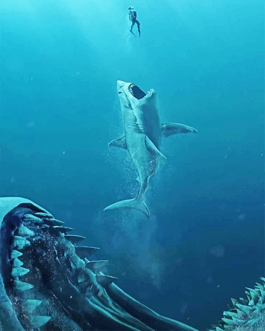 Shark Follows Its Prey New Paint By Numbers.png