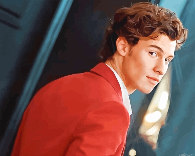 Shawn Mendes Looks New Paint By Numbers.png