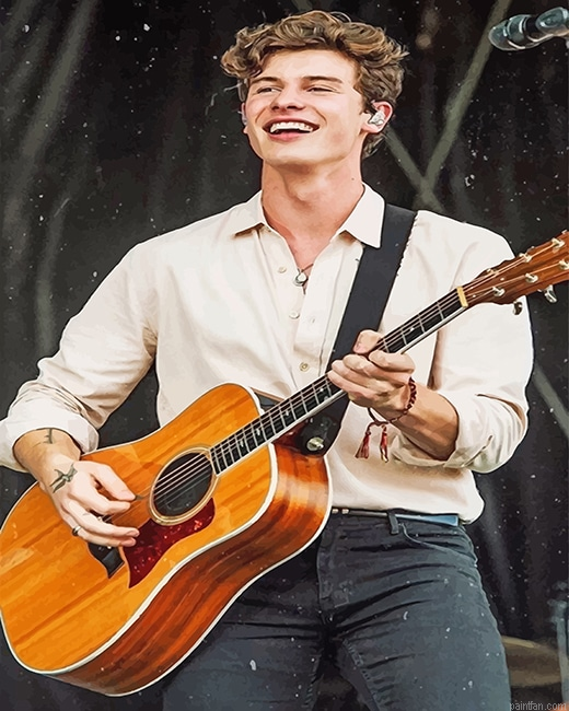 Shawn Mendes Playing Guitar New Paint By Numbers.png