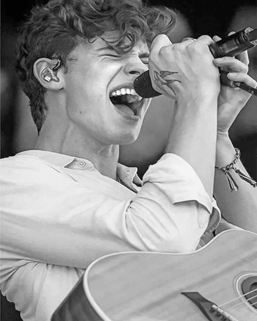 Shawn Mendes Singing Black And White New Paint By Numbers.png