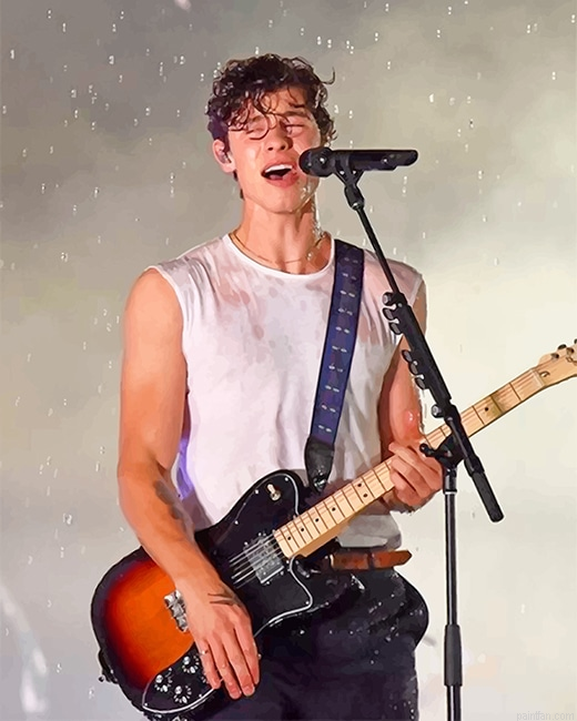 Shawn Mendes Singing On Stage New Paint By Numbers.png
