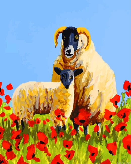 Sheep And Poppies Paint By Number.png