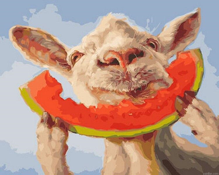 Sheep Eating Paint By Numbers.png