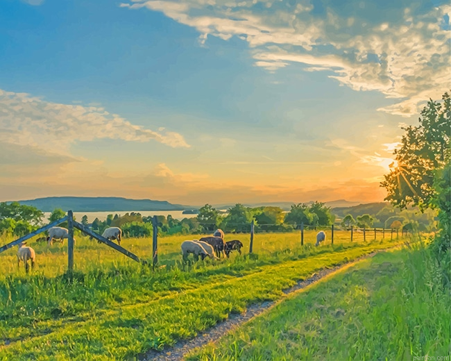 Sheep Field New Paint By Numbers.png