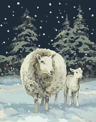 Sheep In Snow Paint By Numbers.png