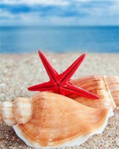 Shells And Starfish Paint By Numbers.png
