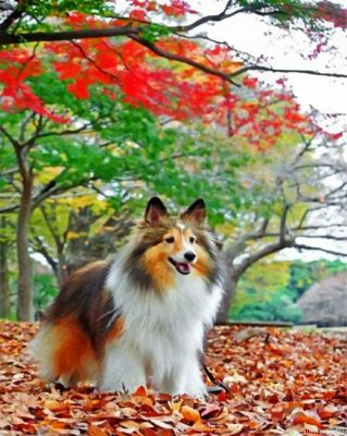 Sheltie Enjoying The Autumn Paint By Number.png