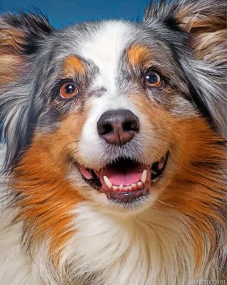 Sheltie Pet Paint By Number.png