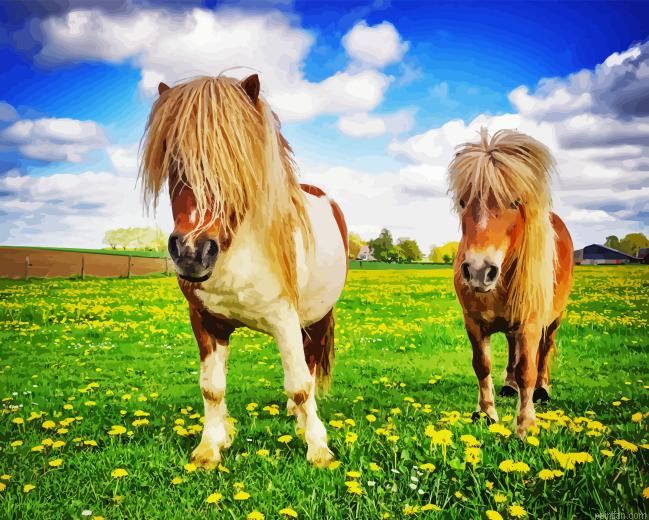 Shetland Ponies Paint By Numbers.png