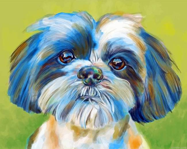 Shih Tzu Pet Paint By Number.png