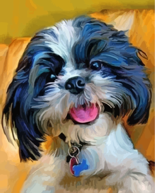 Shih Tzy Dog Paint By Number.png