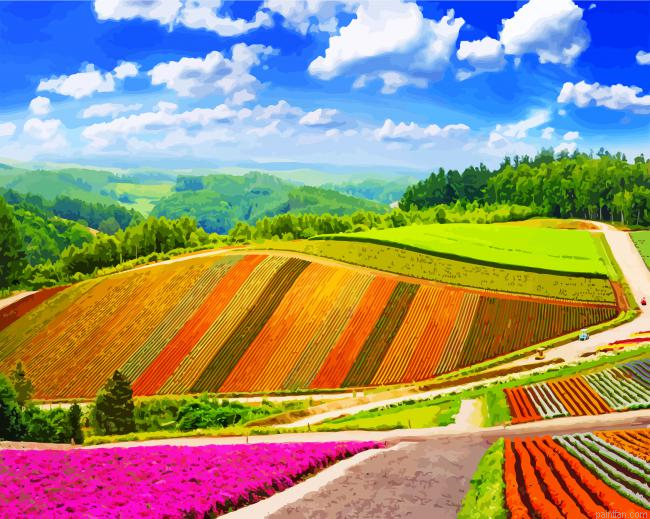 Shikisai No Oka Hokkaido Paint By Number.png