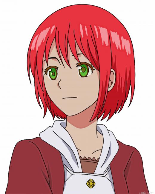 Shirayuki Anime Girl Paint By Numbers.png