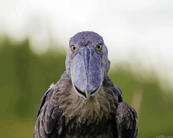Shoebill Face Paint By Numbers.png