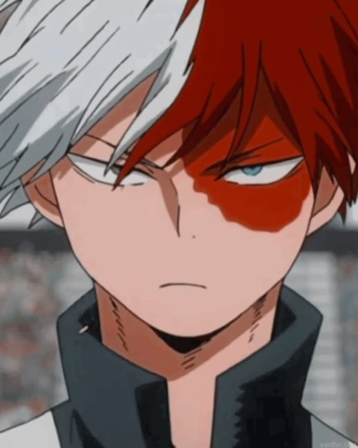 Shoto Todoroki Anime New Paint By Numbers.png