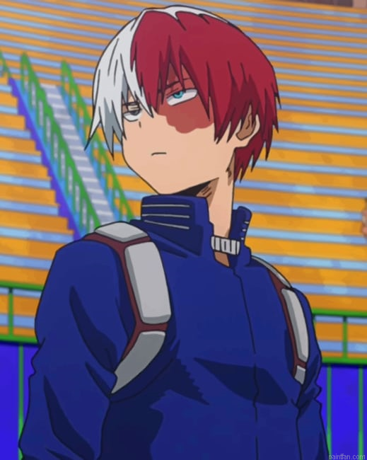 Shoto Todoroki New Paint By Numbers.png