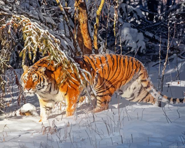 Siberian Tiger Paint By Numbers.png