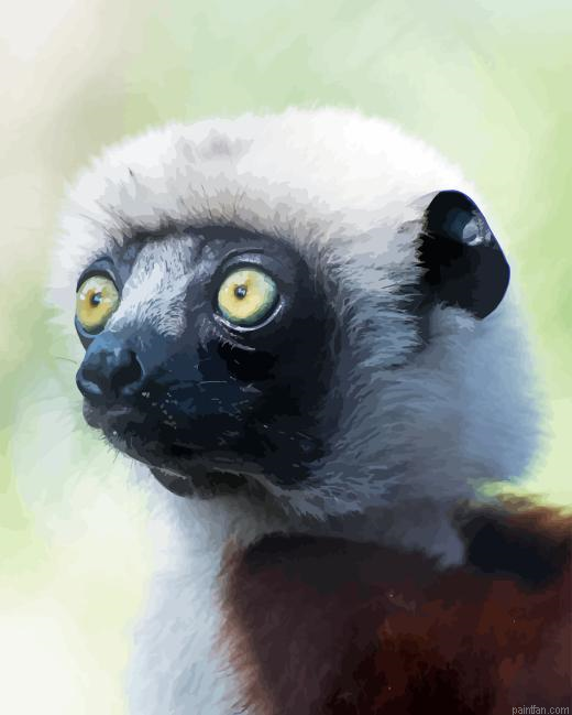 Sifaka Paint By Numbers.png